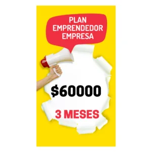 Soysalo empresas 3 meses